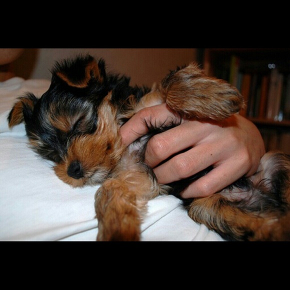 Meet your Posher, Courtney