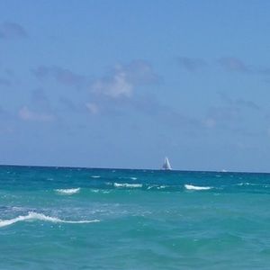 Meet your Posher, Ava