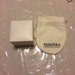 Pandora charm box and pouch