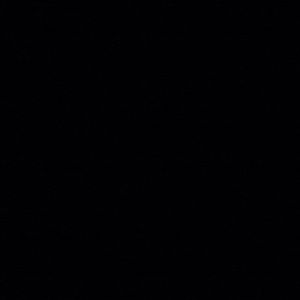 Meet your Posher, Lee