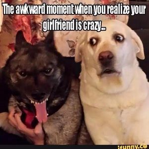 Meet your Posher, Roy