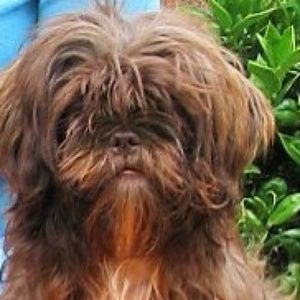 Meet your Posher, Grace