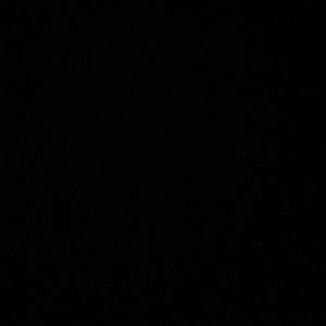 Meet your Posher, Sadie