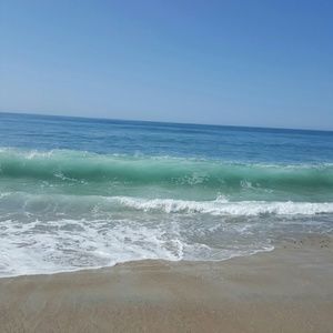 Meet your Posher, Koi