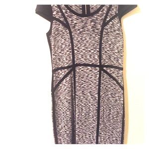 Knee length knit dress, fitted, short sleeves