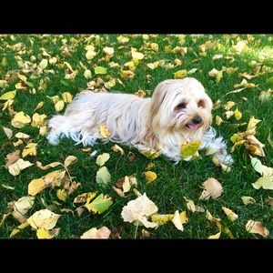 Meet your Posher, Lauren