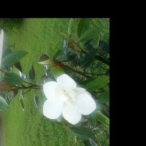 Meet your Posher, Sabinw