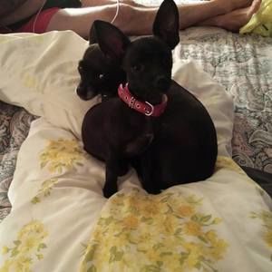 Meet your Posher, Barbara