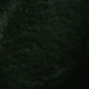 Meet your Posher, Jahaira