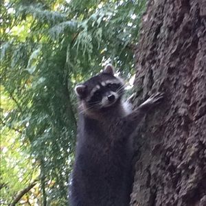 Meet your Posher, Heidi