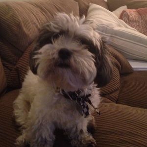 Meet your Posher, Julia