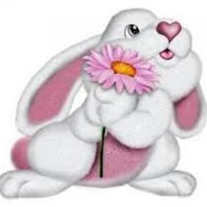 Meet your Posher, Eliany