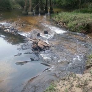 Meet your Posher, Kellie