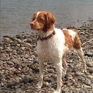 Meet your Posher, Shannon