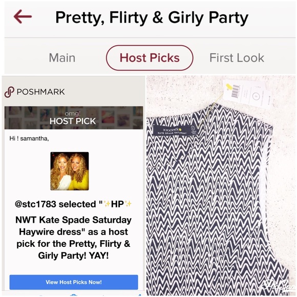 ✨2X HP✨ NWT Kate Spade Saturday Haywire dress - Picture 4 of 4