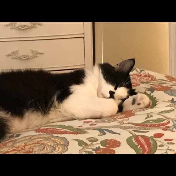 Meet your Posher, Gina - Picture 2 of 7