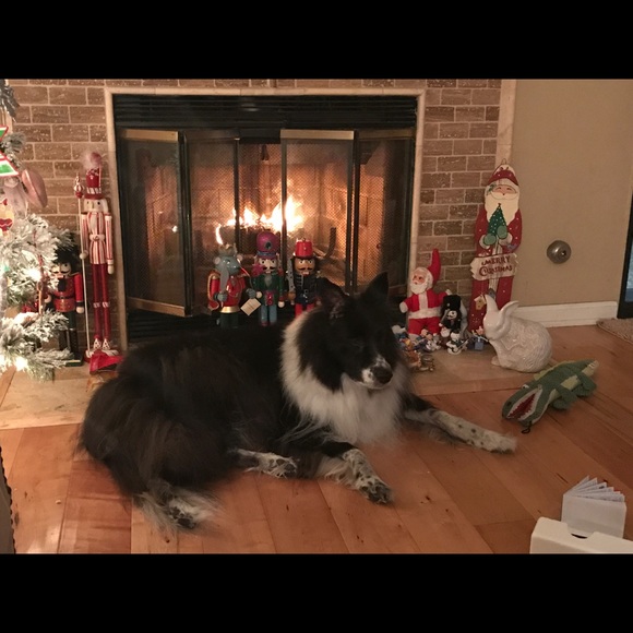 Meet your Posher, Gina - Picture 7 of 7