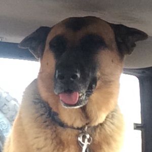 Meet your Posher, Ashely