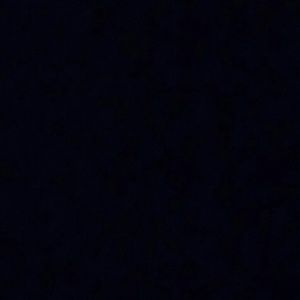 Meet your Posher, Tristan