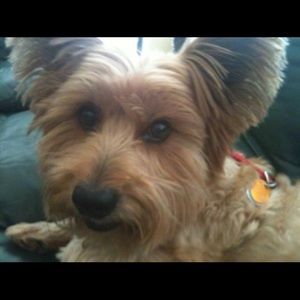 Meet your Posher, Alicia