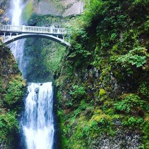 Meet your Posher, Doreen