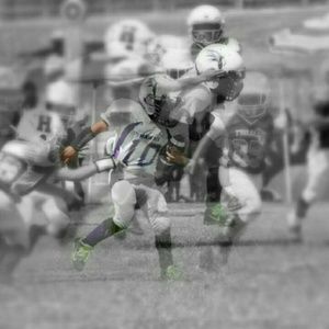 Meet your Posher, Sylvia