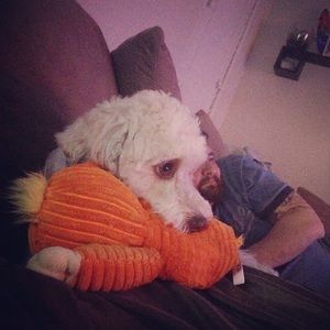 Meet your Posher, Julie