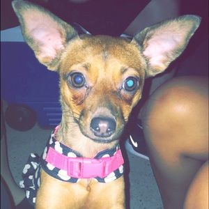 Meet your Posher, Carolina