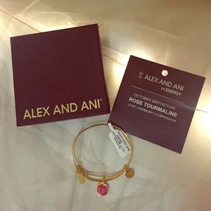Alex and Ani October Bracelet