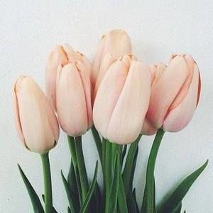 Meet your Posher, Yi