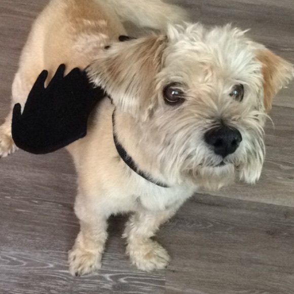 Meet your Posher, Nina