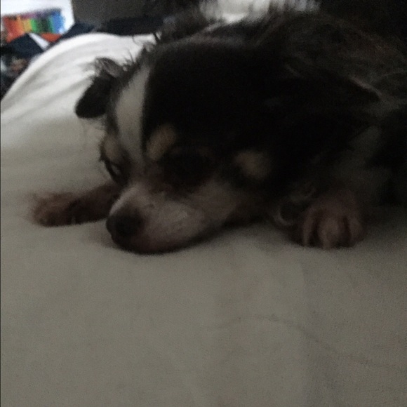 Meet your Posher, Mariamarta