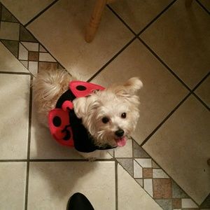 Meet your Posher, Nicki