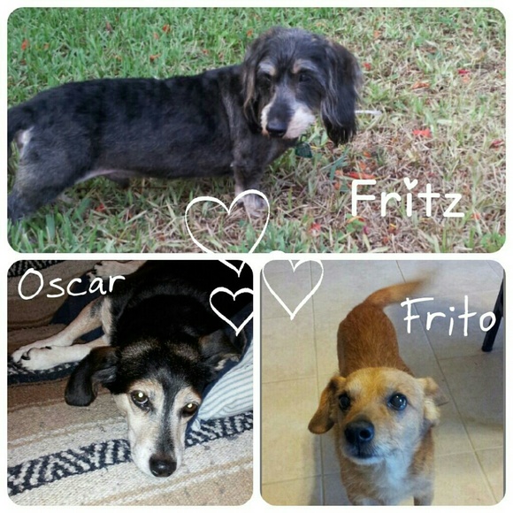 Meet your Posher, Chris - Picture 2 of 3