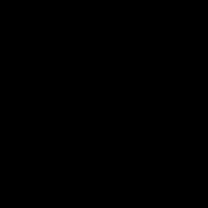 Meet your Posher, Marie