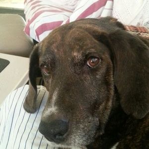 Meet your Posher, Jill