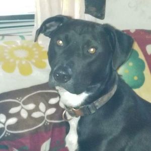 Meet your Posher, Marshane