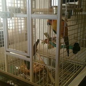 Meet your Posher, Rhonda