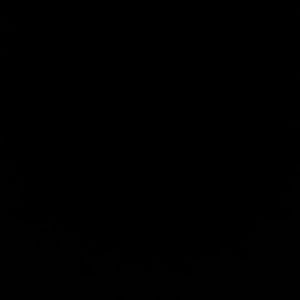 Meet your Posher, Lizzy