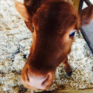 Meet your Posher, Maria