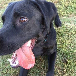 Meet your Posher, Shayna