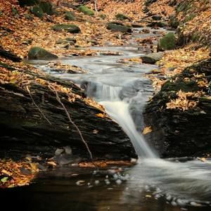 Meet your Posher, Terry