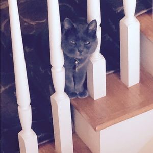 Meet your Posher, Kathy