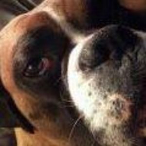 Meet your Posher, Kris