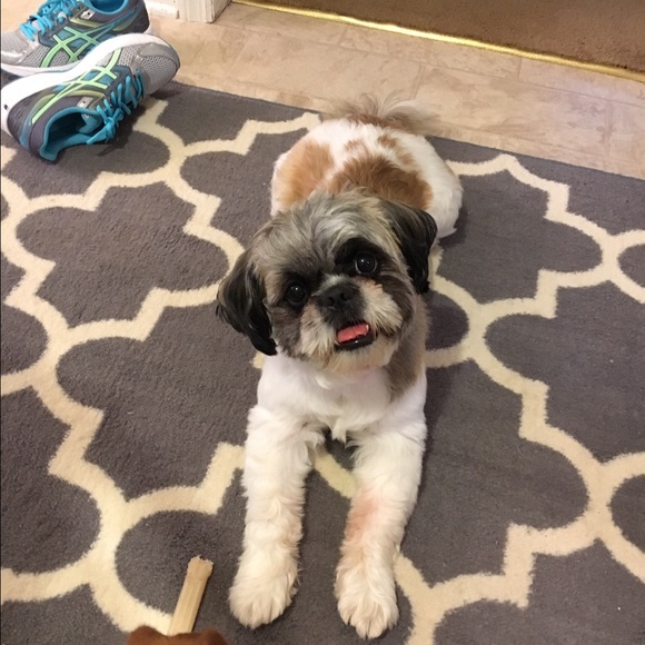 Meet your Posher, Stephanie - Picture 2 of 2