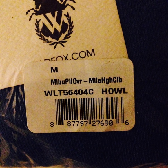 🚫SOLD🚫NWT Wildfox Mile High Club Hoodie - Picture 3 of 3