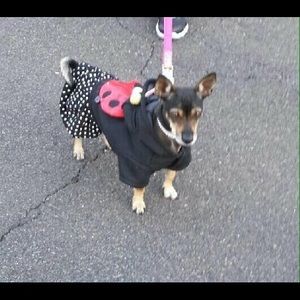 Meet your Posher, Torri