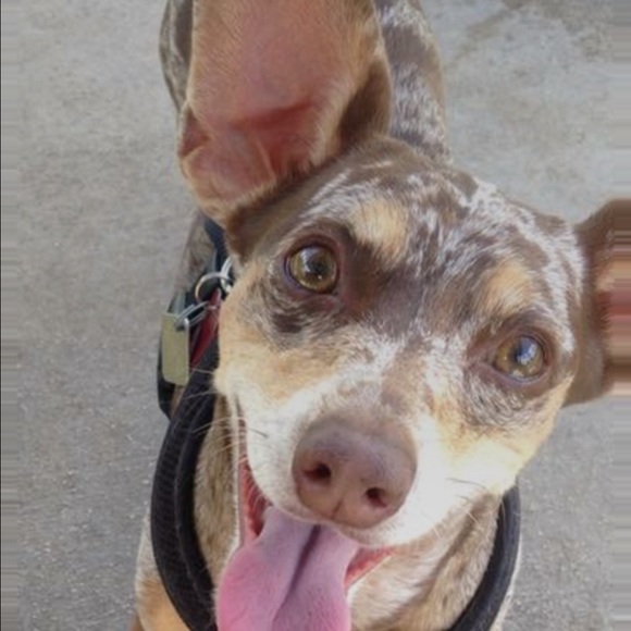 Meet your Posher, Cynthia