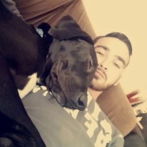 Meet your Posher, David