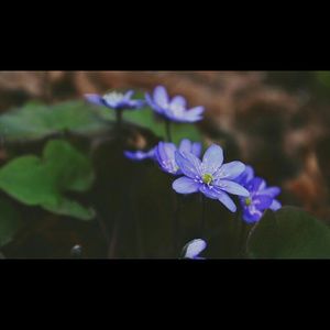 Meet your Posher, Paris